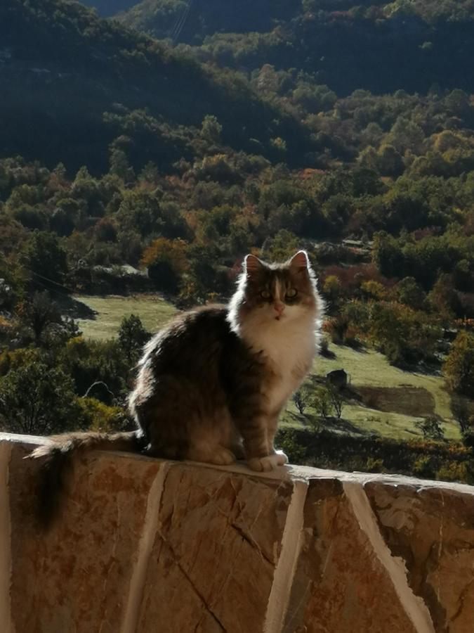 Etno House Happy Village Cetinje Dış mekan fotoğraf